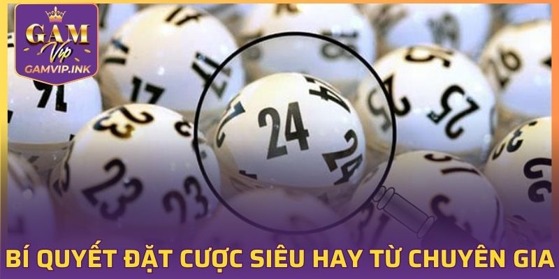 Bí quyết đặt cược siêu hay được tổng hợp từ chuyên gia