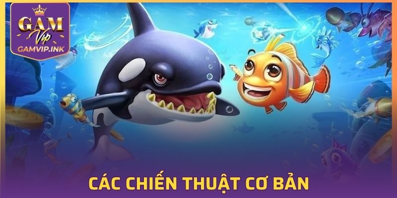 Các chiến thuật từ những chuyên gia hàng đầu