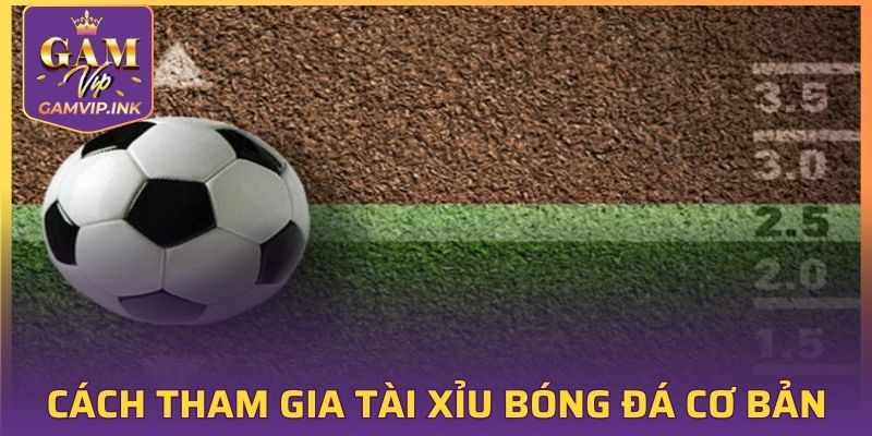 Cách tham gia chơi tài xỉu bóng đá cơ bản