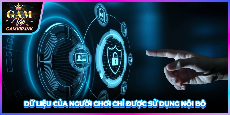 Dữ liệu của người chơi chỉ được sử dụng nội bộ