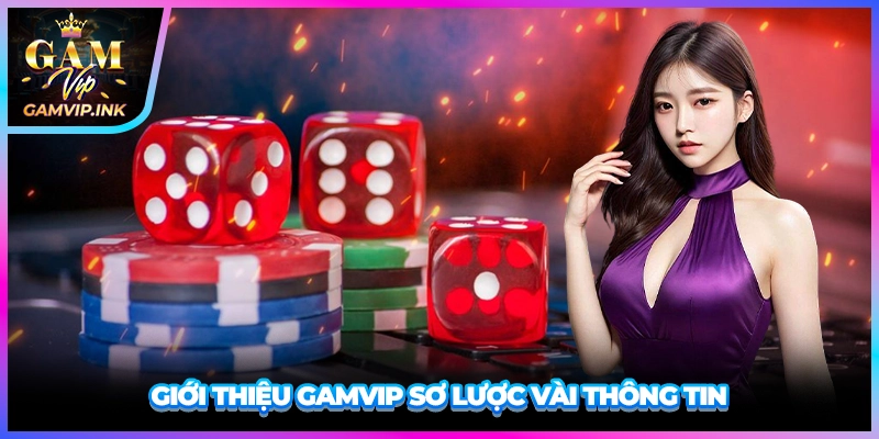 Giới thiệu GAMVIP sơ lược vài thông tin