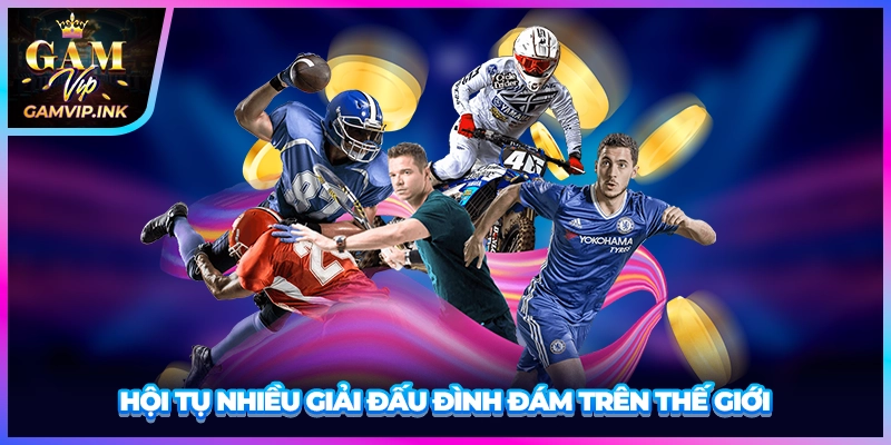 Hội tụ nhiều giải đấu đình đám trên thế giới