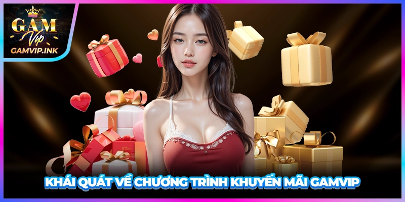 Khái quát về chương trình khuyến mãi GAMVIP