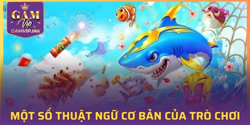 Một số thuật ngữ cơ bản của trò chơi
