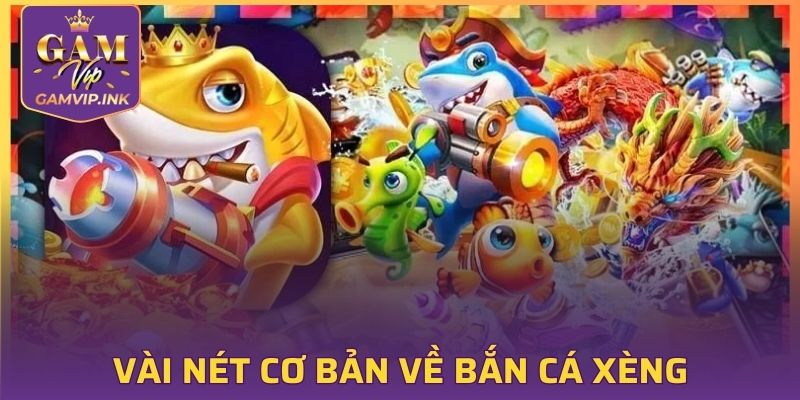Vài nét cơ bản về Bắn Cá Xèng